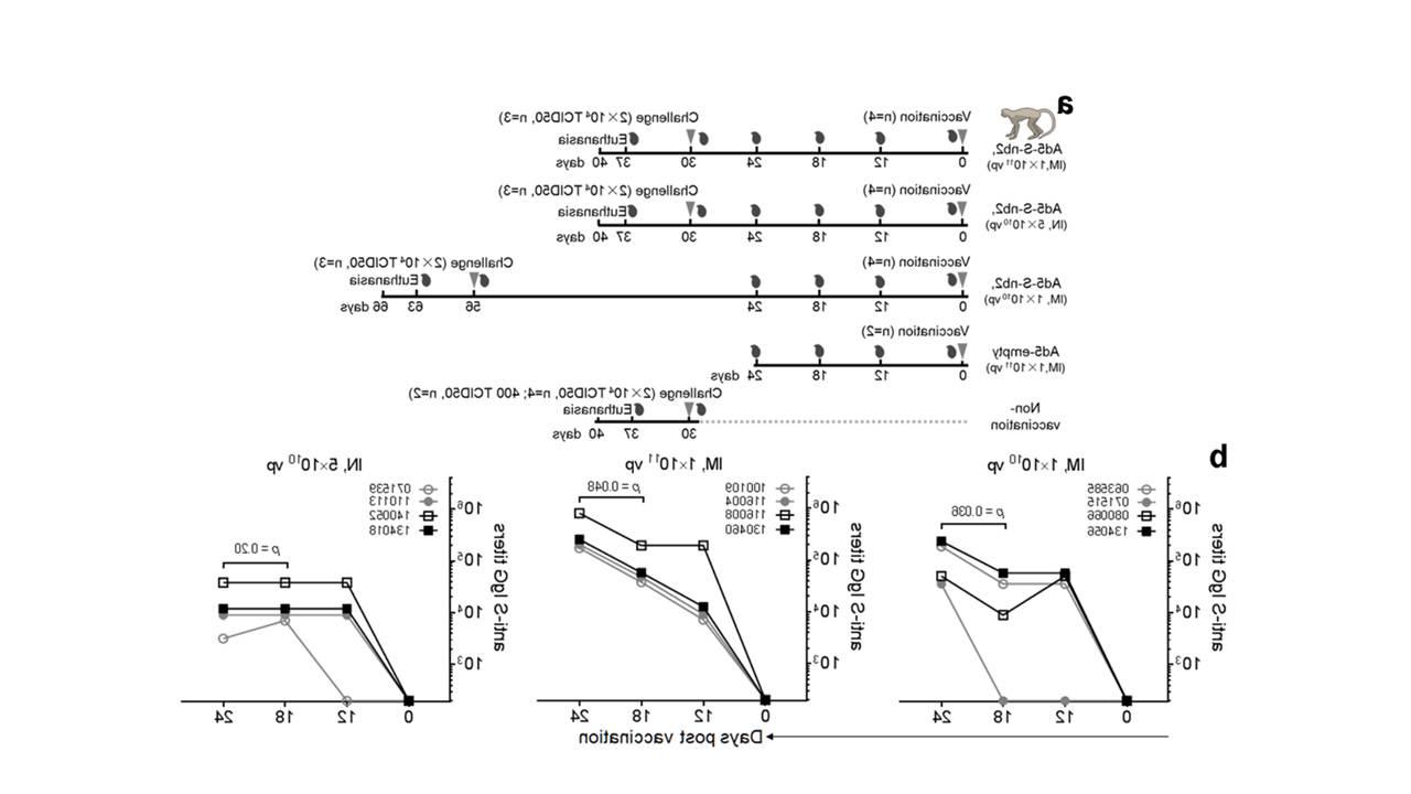 Nature Communications | <a href='http://674786.adelagilcomplementos.com'>中欧体育</a>与广州恩宝<a href='http://674786.adelagilcomplementos.com'>中欧体育</a>医药科技有限公司等联合研制重组腺病毒载体新冠肺炎疫苗取得阶段性进展